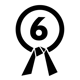 lean 6 sigma-black belt