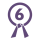 lean 6 sigma-purple belt