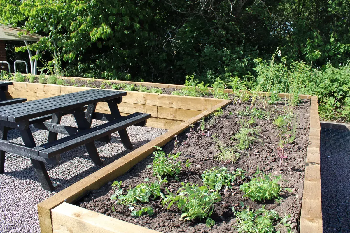 A group of people sat on benches next to a raised planter