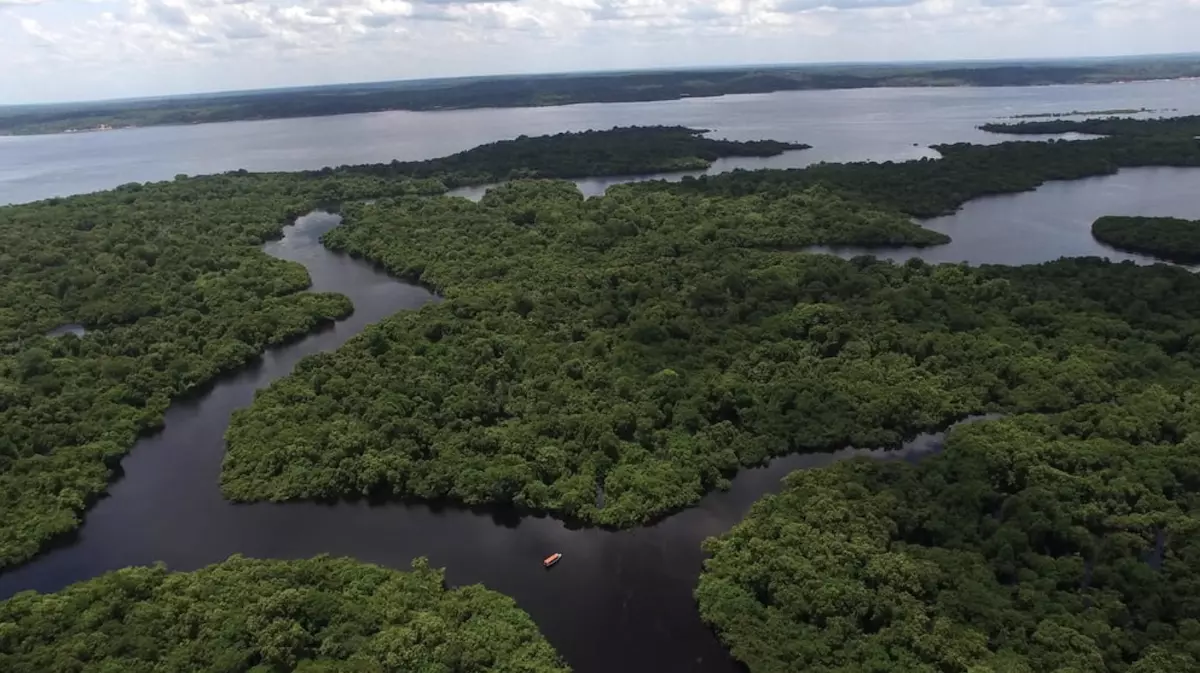 a aerial view of a river with trees